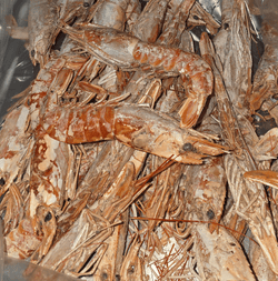 Freeze Dried Subscription Box - Totally Raw