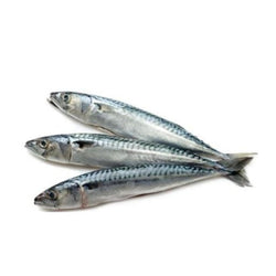 Wild Caught Whole Raw Sardines 3 lbs - Happee Dawg